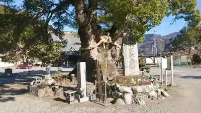本遠寺の自然