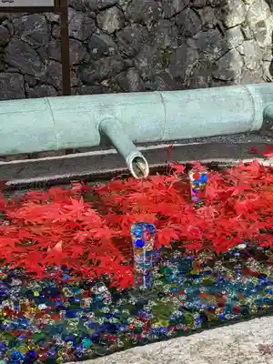 岡寺(龍蓋寺)(奈良県)