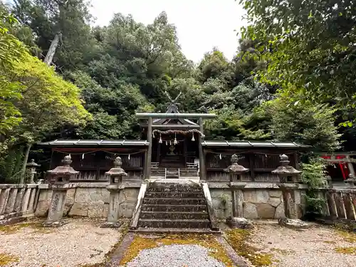 伊射奈岐神社の本殿