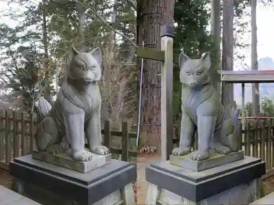 武蔵御嶽神社の狛犬