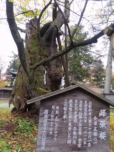 蠶養國神社の自然