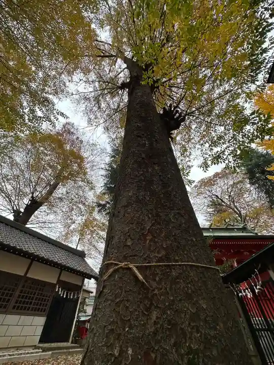 小野神社の自然
