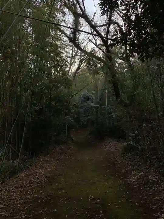 愛宕神社の周辺