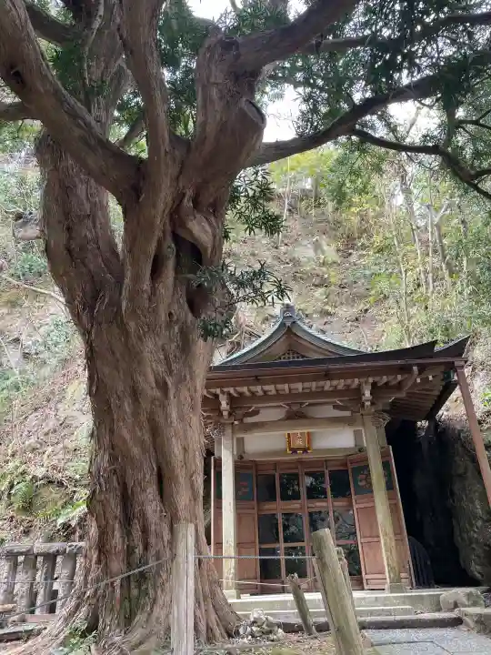 安國論寺(安国論寺)の{uncategorized: "未分類", other: "その他", undefined: "問題あり", building: "その他建物", grave: "お墓", sacred_gate: "鳥居", guardian: "狛犬", statue: "像", buddha: "仏像", history: "歴史", nature: "自然", garden: "庭園", animal: "動物", pagoda: "塔", temizu: "手水舎", mountain_gate: "山門・神門", sanctuary: "本殿・本堂", subordinate: "末社・摂社", art: "芸術", scenery: "景色", jizo: "地蔵", ema: "絵馬", goshuin: "御朱印", omikuji: "おみくじ", items: "授与品その他", amulet: "お守り", goshuincho: "御朱印帳", eats: "食事", festival: "お祭り", votive_dance: "神楽", shichigosan: "七五三参", wedding: "結婚式", experience: "体験その他", initially: "初詣", around: "周辺", anti_infection: "感染症対策"}