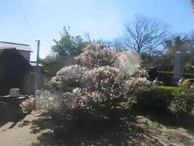 清傳寺(神奈川県)