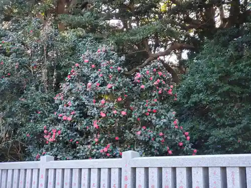 酒列磯前神社の建物その他