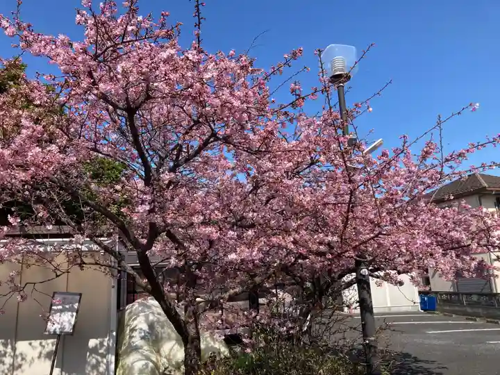 善福寺(神奈川県)