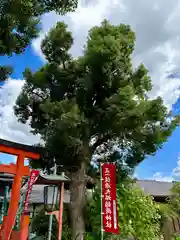 源九郎稲荷神社(奈良県)