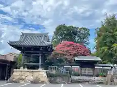 妙蓮寺(神奈川県)