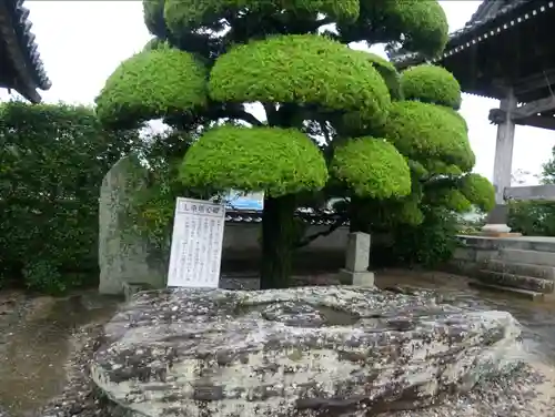 国分寺の建物その他