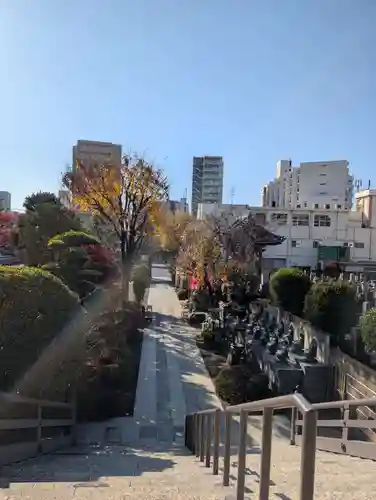 錫杖寺(埼玉県)