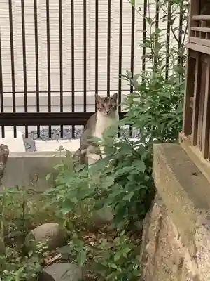 天王坊稲荷神社(岐阜県)