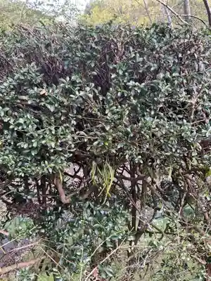 吉祥寺(岐阜県)