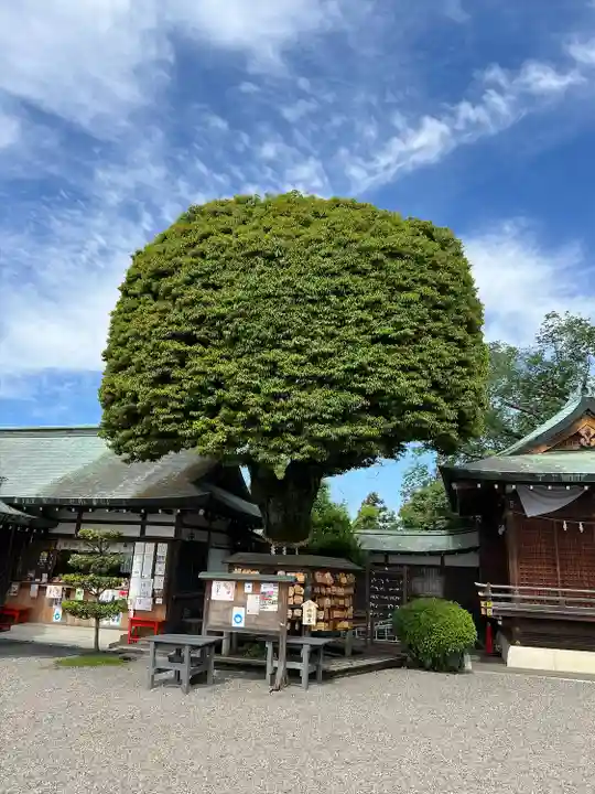足利織姫神社(栃木県)
