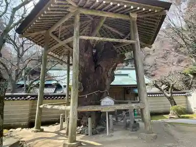 根香寺(香川県)