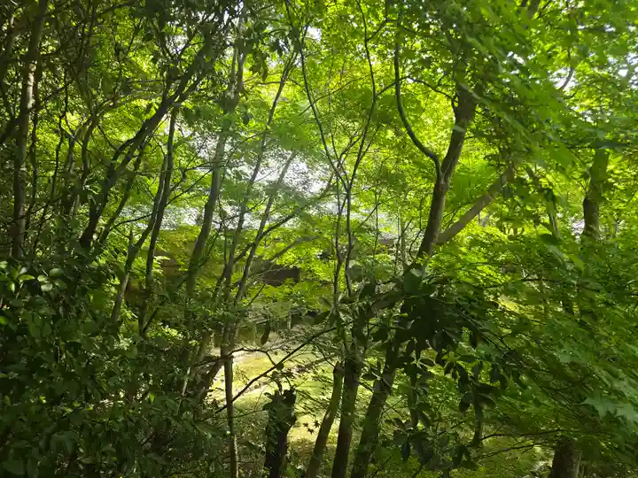 勝持寺(花の寺)(京都府)