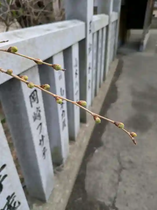 函館八幡宮の自然