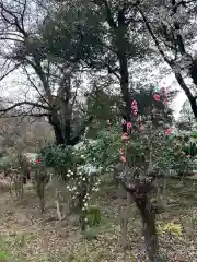 簳幹八幡宮(東京都)