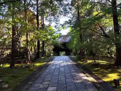 竹林寺(高知県)