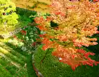 寿量山 速成寺の自然