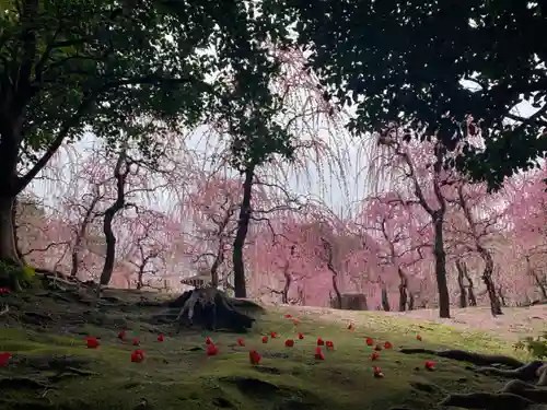 城南宮(京都府)