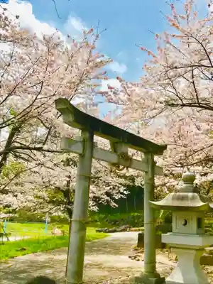 金嶽神社の鳥居