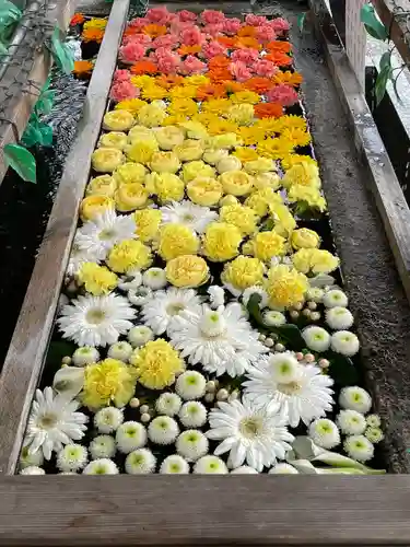津島神社の手水舎
