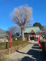 大洞院(千葉県)