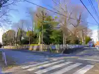 稲木神社(寄木町)の自然