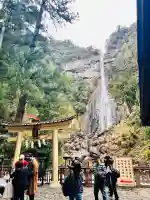 飛瀧神社(熊野那智大社別宮)の{uncategorized: "未分類", other: "その他", undefined: "問題あり", building: "その他建物", grave: "お墓", sacred_gate: "鳥居", guardian: "狛犬", statue: "像", buddha: "仏像", history: "歴史", nature: "自然", garden: "庭園", animal: "動物", pagoda: "塔", temizu: "手水舎", mountain_gate: "山門・神門", sanctuary: "本殿・本堂", subordinate: "末社・摂社", art: "芸術", scenery: "景色", jizo: "地蔵", ema: "絵馬", goshuin: "御朱印", omikuji: "おみくじ", items: "授与品その他", amulet: "お守り", goshuincho: "御朱印帳", eats: "食事", festival: "お祭り", votive_dance: "神楽", shichigosan: "七五三参", wedding: "結婚式", experience: "体験その他", initially: "初詣", around: "周辺", anti_infection: "感染症対策"}