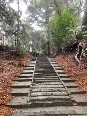 日吉神社の{uncategorized: "未分類", other: "その他", undefined: "問題あり", building: "その他建物", grave: "お墓", sacred_gate: "鳥居", guardian: "狛犬", statue: "像", buddha: "仏像", history: "歴史", nature: "自然", garden: "庭園", animal: "動物", pagoda: "塔", temizu: "手水舎", mountain_gate: "山門・神門", sanctuary: "本殿・本堂", subordinate: "末社・摂社", art: "芸術", scenery: "景色", jizo: "地蔵", ema: "絵馬", goshuin: "御朱印", omikuji: "おみくじ", items: "授与品その他", amulet: "お守り", goshuincho: "御朱印帳", eats: "食事", festival: "お祭り", votive_dance: "神楽", shichigosan: "七五三参", wedding: "結婚式", experience: "体験その他", initially: "初詣", around: "周辺", anti_infection: "感染症対策"}