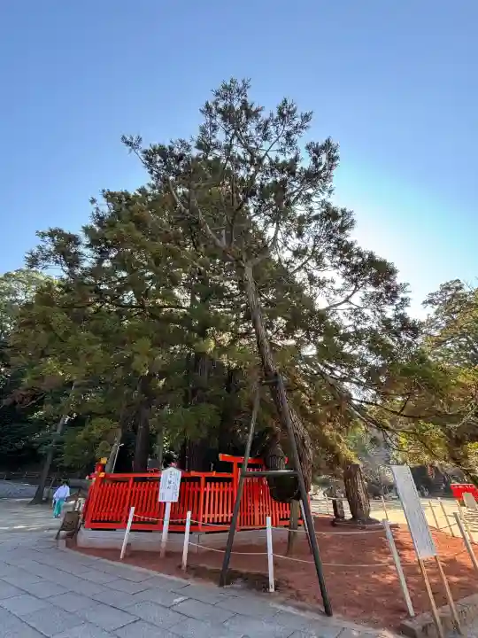 香椎宮の{uncategorized: "未分類", other: "その他", undefined: "問題あり", building: "その他建物", grave: "お墓", sacred_gate: "鳥居", guardian: "狛犬", statue: "像", buddha: "仏像", history: "歴史", nature: "自然", garden: "庭園", animal: "動物", pagoda: "塔", temizu: "手水舎", mountain_gate: "山門・神門", sanctuary: "本殿・本堂", subordinate: "末社・摂社", art: "芸術", scenery: "景色", jizo: "地蔵", ema: "絵馬", goshuin: "御朱印", omikuji: "おみくじ", items: "授与品その他", amulet: "お守り", goshuincho: "御朱印帳", eats: "食事", festival: "お祭り", votive_dance: "神楽", shichigosan: "七五三参", wedding: "結婚式", experience: "体験その他", initially: "初詣", around: "周辺", anti_infection: "感染症対策"}