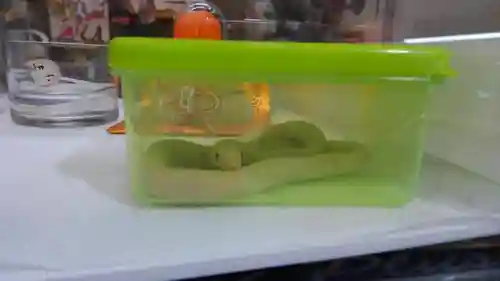 清荒神清澄寺の授与品その他