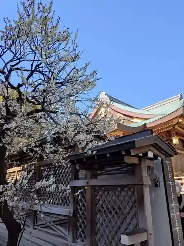 湯島天満宮(東京都)