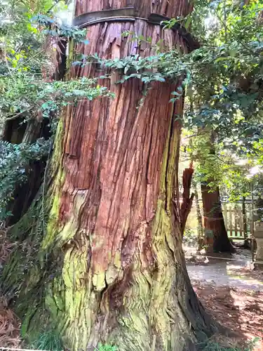 香取神宮(千葉県)