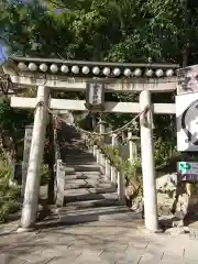 愛宕神社の鳥居