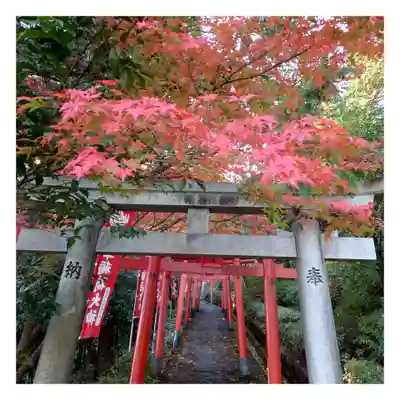 岐阜稲荷山本社(岐阜県)