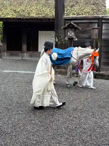 伊勢神宮外宮（豊受大神宮）(三重県)