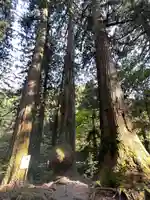 花園神社(茨城県)
