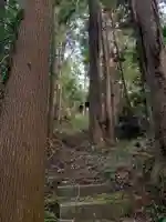 富士浅間大権現(千葉県)