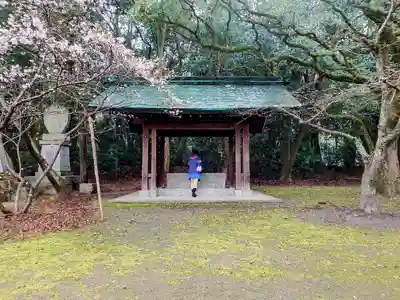 乃木神社の手水舎