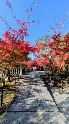光明寺（粟生光明寺）(京都府)