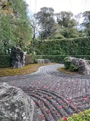 退蔵院(京都府)