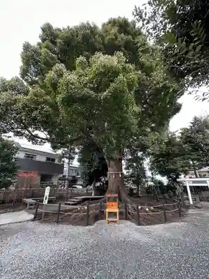 日々神社(神奈川県)