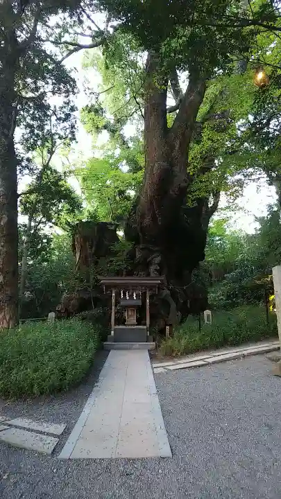 來宮神社の自然