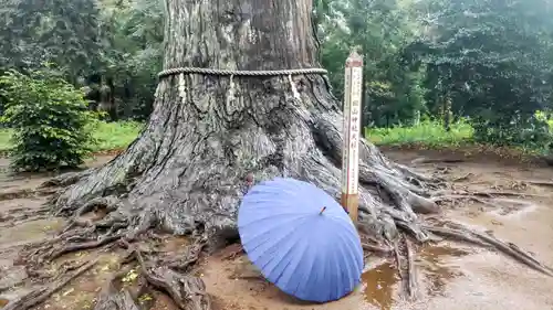 松山神社(千葉県)