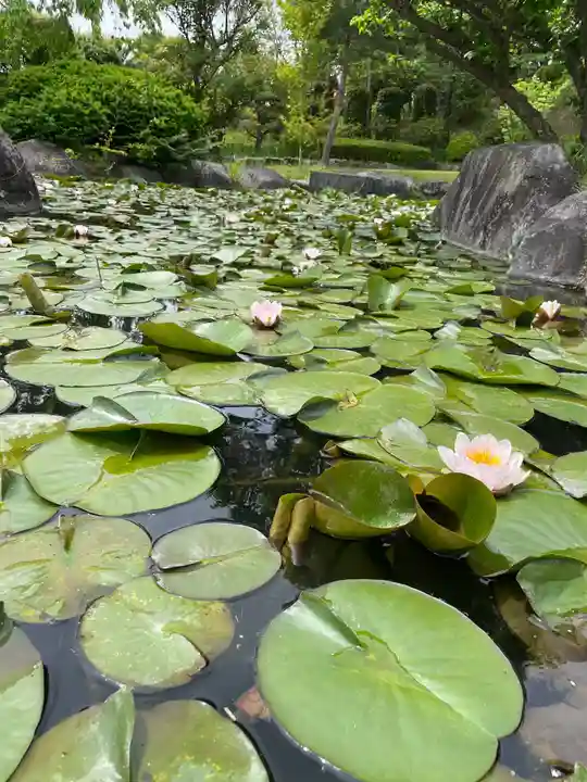 大生郷天満宮の自然