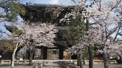 くろ谷 金戒光明寺の山門・神門