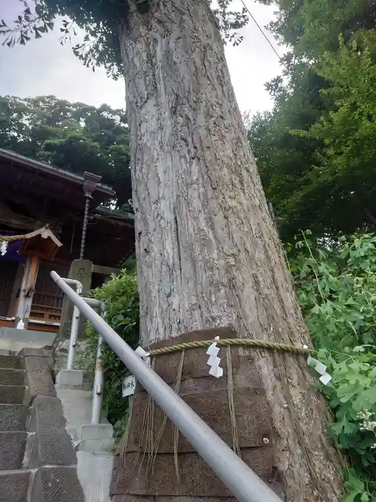 走水神社(神奈川県)