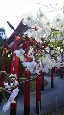 宮地嶽神社(福岡県)